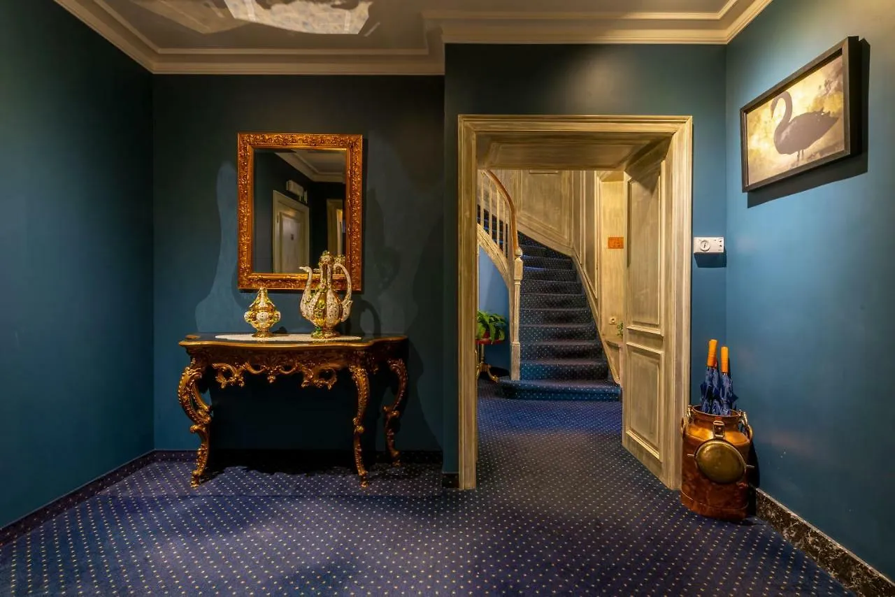 The Black Swan Hotel Μπριζ 3*,